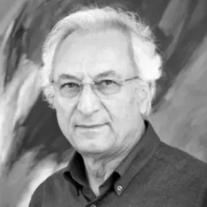 MEHMET GÜLER