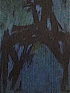 AHMET YEŞİL tarafından 2018 yılında 120x100 cm ölçülerinde Tuval üzeri yağlı boya tekniği ile yapılmıştır.