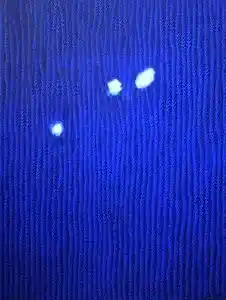 AHMET YEŞİL tarafından 2019 yılında 130x98 cm ölçülerinde Tuval üzeri yağlı boya tekniği ile yapılmıştır.