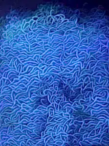 AHMET YEŞİL tarafından 2018 yılında 160x120 cm ölçülerinde Tuval üzeri yağlı boya tekniği ile yapılmıştır.