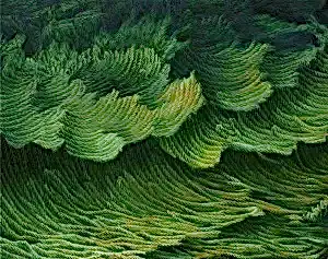 AHMET YEŞİL tarafından 80x100 cm ölçülerinde Tuval üzeri yağlı boya tekniği ile yapılmıştır.