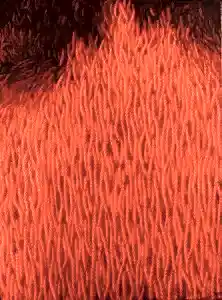 AHMET YEŞİL tarafından 2015 yılında 120x90 cm ölçülerinde Tuval üzeri yağlı boya tekniği ile yapılmıştır.