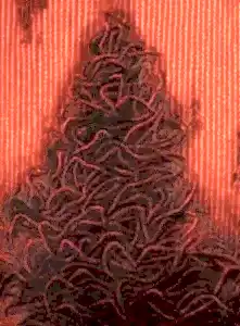 AHMET YEŞİL tarafından 2015 yılında 120x90 cm ölçülerinde Tuval üzeri yağlı boya tekniği ile yapılmıştır.