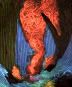 AHMET YEŞİL tarafından 2015 yılında 120x100 cm ölçülerinde Tuval üzeri yağlı boya tekniği ile yapılmıştır.