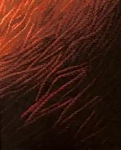 AHMET YEŞİL tarafından 2015 yılında 50x40 cm ölçülerinde Tuval üzeri yağlı boya tekniği ile yapılmıştır.