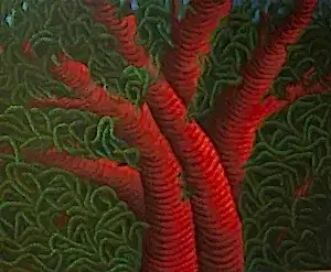 AHMET YEŞİL tarafından 2014 yılında 100x120 cm ölçülerinde Tuval üzeri yağlı boya tekniği ile yapılmıştır.