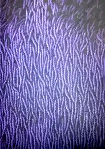 AHMET YEŞİL tarafından 2014 yılında 120x100 cm ölçülerinde Tuval üzeri yağlı boya tekniği ile yapılmıştır.