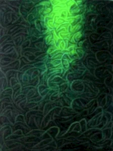 AHMET YEŞİL tarafından 2012 yılında 120x90 cm ölçülerinde Tuval üzeri yağlı boya tekniği ile yapılmıştır.