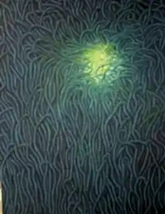 AHMET YEŞİL tarafından 2012 yılında 160x120 cm ölçülerinde Tuval üzeri yağlı boya tekniği ile yapılmıştır.