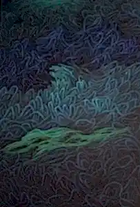 AHMET YEŞİL tarafından 2012 yılında 150x100 cm ölçülerinde Tuval üzeri yağlı boya tekniği ile yapılmıştır.