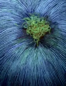 AHMET YEŞİL tarafından 2011 yılında 160x120 cm ölçülerinde Tuval üzeri yağlı boya tekniği ile yapılmıştır.