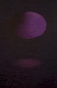 AHMET YEŞİL tarafından 2011 yılında 165x120 cm ölçülerinde Tuval üzeri yağlı boya tekniği ile yapılmıştır.