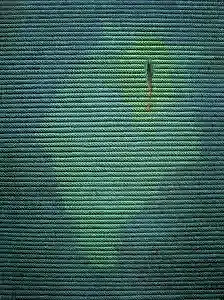 AHMET YEŞİL tarafından 2012 yılında 160x120 cm ölçülerinde Tuval üzeri yağlı boya tekniği ile yapılmıştır.