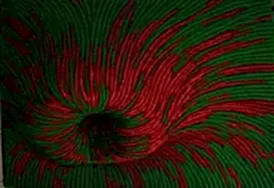 AHMET YEŞİL tarafından 2009 yılında 85x105 cm ölçülerinde Tuval üzeri yağlı boya tekniği ile yapılmıştır.