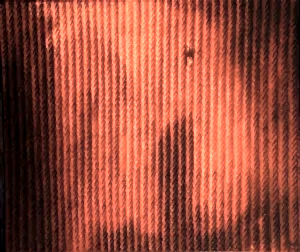 AHMET YEŞİL tarafından 2009 yılında 65x75 cm ölçülerinde Tuval üzeri yağlı boya tekniği ile yapılmıştır.