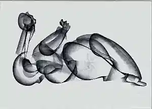 ALİ HERİSCHİ tarafından 2020 yılında 32x45 cm ölçülerinde Kağıt üzeri füzen tekniği ile yapılmıştır.