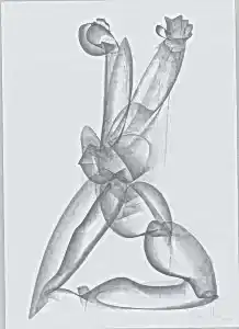 ALİ HERİSCHİ tarafından 2020 yılında 45x32 cm ölçülerinde Kağıt üzeri füzen tekniği ile yapılmıştır.