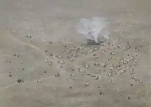 SALİH ÇAKAR tarafından 2025 yılında 60x80 cm ölçülerinde Tuval üzeri karışık teknik tekniği ile yapılmıştır.