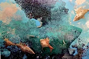 EROL PELİOĞLU tarafından 2021 yılında 100x150 cm ölçülerinde Tuval üzeri yağlı boya tekniği ile yapılmıştır.