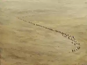 SALİH ÇAKAR tarafından 2025 yılında 60x80 cm ölçülerinde Tuval üzeri yağlı boya tekniği ile yapılmıştır.