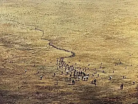 SALİH ÇAKAR tarafından 2026 yılında 60x80 cm ölçülerinde Tuval üzeri yağlı boya tekniği ile yapılmıştır.