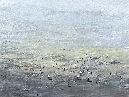 SALİH ÇAKAR tarafından 2026 yılında 60x80 cm ölçülerinde Tuval üzeri yağlı boya tekniği ile yapılmıştır.