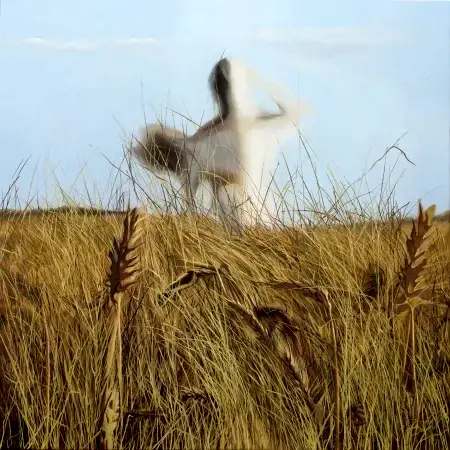 ÖZLEM ÇAKMAK tarafından 2026 yılında 50x50 cm ölçülerinde Keten tuval üzeri yağlı boya tekniği ile yapılmıştır.