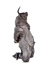 BUĞRA ÖZER tarafından 2017 yılında 48x20x25 cm ölçülerinde Siyah kil-1250°C  Serbest Elle Şekillendirme tekniği ile yapılmıştır.