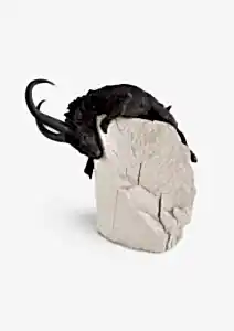 BUĞRA ÖZER tarafından 2017 yılında 23x22x23 cm ölçülerinde Siyah Kil ve Porselen Çamuru-1250°C  Serbest Elle Şekillendirme tekniği ile yapılmıştır.