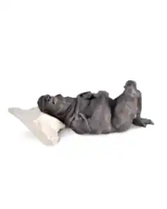 BUĞRA ÖZER tarafından 2017 yılında 11x33x19 cm ölçülerinde Siyah Kil ve Porselen Çamuru-1250°C  Serbest Elle Şekillendirme tekniği ile yapılmıştır.