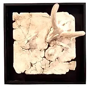 BUĞRA ÖZER tarafından 2017 yılında 20x20x15 cm ölçülerinde Beyaz Kil-1250°C  Serbest Elle ve Kalıpla Şekillendirme tekniği ile yapılmıştır.