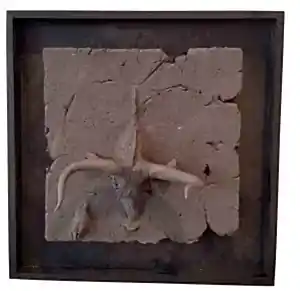 BUĞRA ÖZER tarafından 2017 yılında 20x20x15 cm ölçülerinde Siyah Kil-1250°C  Serbest Elle ve Kalıpla Şekillendirme tekniği ile yapılmıştır.