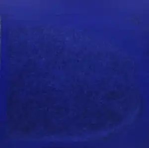 DEVRİM ERBİL tarafından 2013 yılında 140x140 cm ölçülerinde Tuval üzeri yağlı boya tekniği ile yapılmıştır.