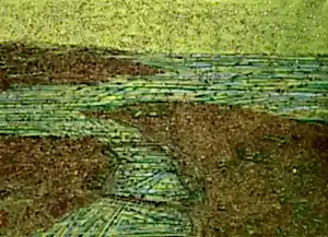 DEVRİM ERBİL tarafından 2023 yılında 130x180 cm ölçülerinde Tuval üzeri yağlı boya tekniği ile yapılmıştır.