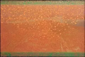 DEVRİM ERBİL tarafından 2023 yılında 80x120 cm ölçülerinde Alüminyum üzeri Giclee baskı 1/1 Monoprint tekniği ile yapılmıştır.