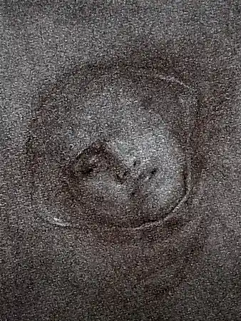 SERTAP YEĞİN tarafından 2025 yılında 33x25 cm ölçülerinde Kağıt üzeri füzen tekniği ile yapılmıştır.