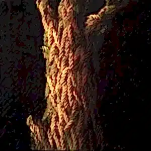 AHMET YEŞİL tarafından 2020 yılında 40x40 cm ölçülerinde Tuval üzeri yağlı boya tekniği ile yapılmıştır.