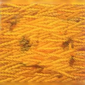 AHMET YEŞİL tarafından 2023 yılında 40x40 cm ölçülerinde Tuval üzeri yağlı boya tekniği ile yapılmıştır.