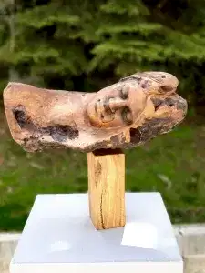 HAKAN ERASLAN tarafından 2018 yılında 48x53x23 cm ölçülerinde Zeytin Ağacı Yontu tekniği ile yapılmıştır.