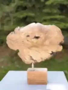 HAKAN ERASLAN tarafından 2017 yılında 40x38x17 cm ölçülerinde Zeytin Ağacı Yontu tekniği ile yapılmıştır.