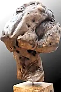 HAKAN ERASLAN tarafından 64x60 cm ölçülerinde  tekniği ile yapılmıştır.