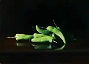 HASAN SAYGIN tarafından 2009 yılında 46x33 cm ölçülerinde Tuval üzeri yağlı boya tekniği ile yapılmıştır.