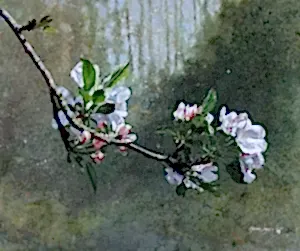 HASAN SAYGIN tarafından 2025 yılında 52x63 cm ölçülerinde Tuval üzeri yağlı boya tekniği ile yapılmıştır.