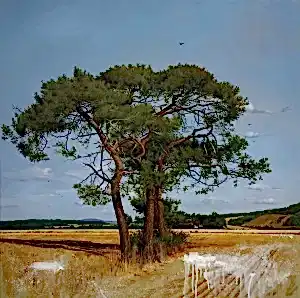 HASAN SAYGIN tarafından 2022 yılında 79x79 cm ölçülerinde Tuval üzeri yağlı boya tekniği ile yapılmıştır.