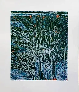 DEVRİM ERBİL tarafından 2013 yılında  cm ölçülerinde Serigrafi - (C) Edisyon 10/50 tekniği ile yapılmıştır.