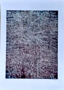 DEVRİM ERBİL tarafından 2011 yılında 70x50 cm ölçülerinde Serigrafi - Edisyon: EA tekniği ile yapılmıştır.