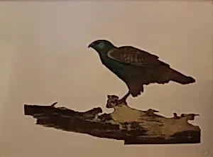 FATİH MİKA tarafından 2008 yılında 48x64 cm ölçülerinde Gravür 10//50 tekniği ile yapılmıştır.