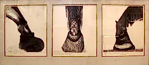 ORHAN PEKER tarafından 32x35 cm ölçülerinde Baskı 3 Lü tekniği ile yapılmıştır.