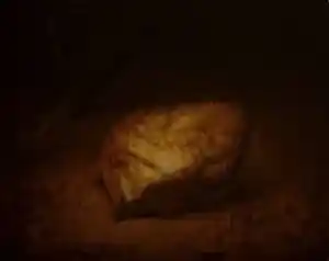 SERTAP YEĞİN tarafından 2015 yılında 40x50 cm ölçülerinde Tuval üzeri yağlı boya tekniği ile yapılmıştır.