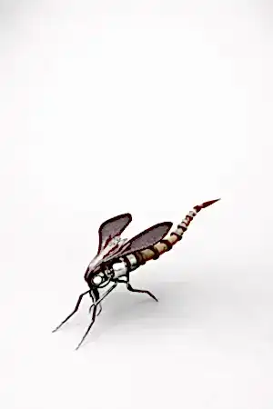 SERKAN ERKOÇ tarafından 2025 yılında 20x55x17 cm ölçülerinde Metal heykel tekniği ile yapılmıştır.